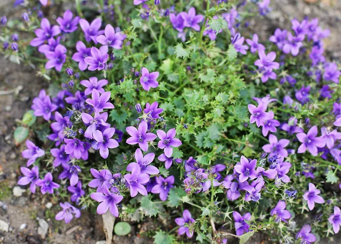 - 100m Grande Prázdninový dům *